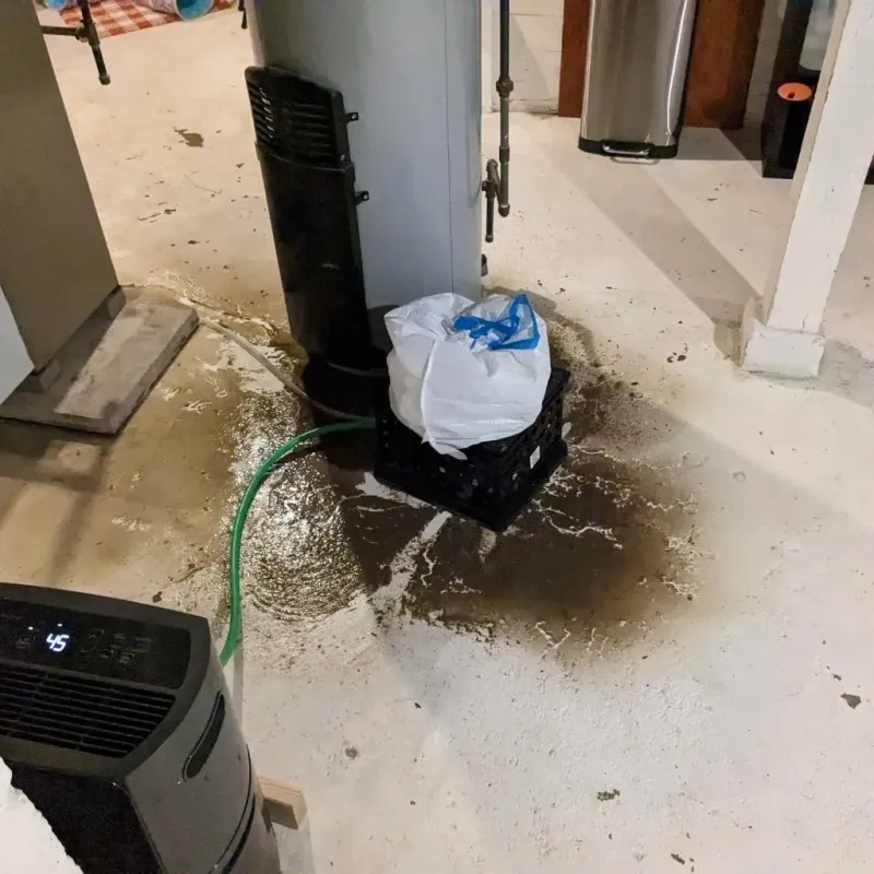 Sewage Backup Cleanup Service in Brownsfield, LA
